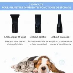 PawHut Séchoir Sèche-poils Toilettage Pour Chien Chat Animaux 2200 W - Température Vitesse Réglable - 3 Embouts - Bleu 9 PawHut Séchoir Sèche-poils Toilettage Pour Chien Chat Animaux 2200 W - Température Vitesse Réglable - 3 Embouts - Bleu -PawHut Soldes Boutique 31141488 5
