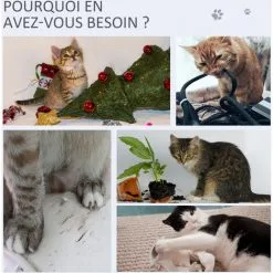 PawHut Arbre à Chat Avec Griffoir En Sisal Niche Lit Pour Chat Hamac Corde D'escalade Plateformes Panneaux Particules Coussins Gris - Gris -PawHut Soldes Boutique 42169163 5