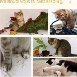 PawHut Arbre à Chat 2 Griffoirs Niche Entrée Tête De Chat Plateforme D'observation Jouet Suspendu Coussins Amovibles Peluche Grande Douceur Aspect Bois Clair - Beige -PawHut Soldes Boutique 44066364 4