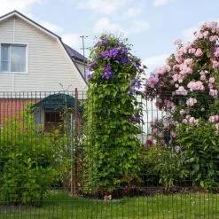 PawHut Grillage Rouleau Soudé - Grillage à Poule - Maille 5L X 10H Cm - Hauteur 1,22 M - Longueur 10 M - Acier Revêtement PVC Vert -PawHut Soldes Boutique 51254847 4