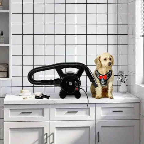 PawHut Séchoir Sèche-poils Toilettage Pour Chien Chat Animaux 2400 W - Température Vitesse Réglable - 3 Embouts - Noir - Noir 2 PawHut Séchoir Sèche-poils Toilettage Pour Chien Chat Animaux 2400 W - Température Vitesse Réglable - 3 Embouts - Noir - Noir – Image 2