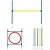 PawHut Agility Sport Pour Chiens équipement Complet : 6 Poteaux Slalom, Obstacle, Anneau + Sac De Transport Bleu Jaune Rouge