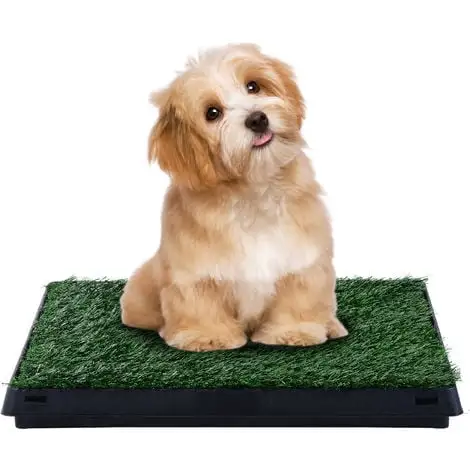 PawHut Litière Gazon Synthétique Chiens Toilettes Portables à Pelouse Tiroir à Déjection 63L X 51l X 6H Cm Noir Vert - Vert 2 PawHut Litière Gazon Synthétique Chiens Toilettes Portables à Pelouse Tiroir à Déjection 63L X 51l X 6H Cm Noir Vert - Vert – Image 2